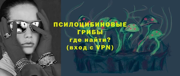 винт Абаза