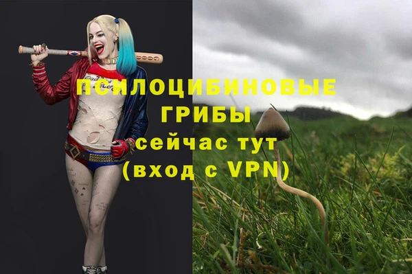 винт Абаза
