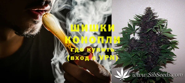 винт Абаза