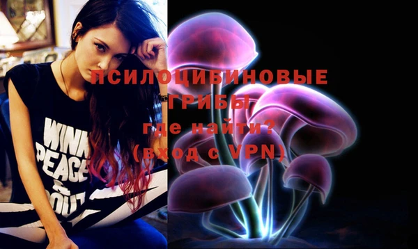индика Алексеевка
