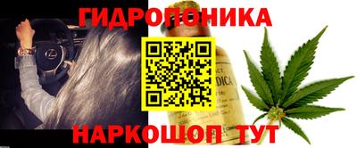apvp Пенза