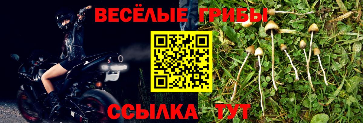 Псилоцибиновые грибы Cubensis  Вход с VPN  дарнет шоп  Югорск  Галлюциногенные грибы мухоморы 