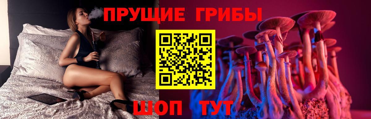Псилоцибиновые грибы Psilocybine cubensis Югорск